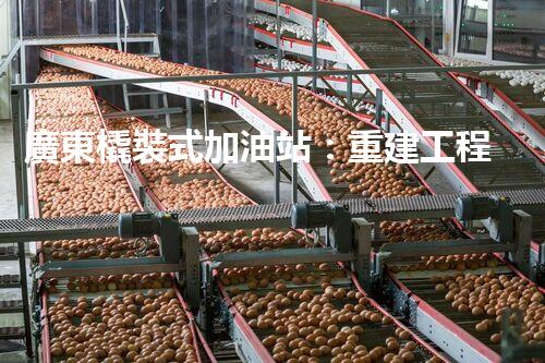 廣東橇裝式加油站：重建工程中的挑戰(zhàn)與創(chuàng)新！